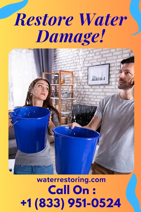 water restoration Royal Water Mitigation Force Merrick
